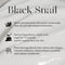 [MIZON] Black Snail All In One Cream(TUBE) 35ML [International Shipping]
