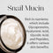 [MIZON] Black Snail All In One Cream 75ML [International Shipping]