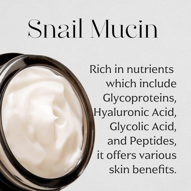 [MIZON] Black Snail All In One Cream 75ML [International Shipping]