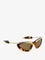 Bottega Veneta Prisma Acetate Sunglasses - Havana