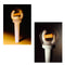 RIIZE Official Fanlight (International Shipping)
