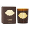Parfumeur Ambre Candle - 240g/8.5oz
