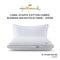 DBS 1 FOR 1 Promo Hallmark 5-Star Hotel Comfy Fiber Pillow