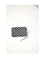 Celine POUCH WITH STRAP - Black & White
