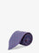 Ferragamo Silk tie - Bluscurorosso