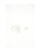 Celine MEDAL EARRINGS - Gold