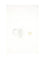 Celine MEDAL EARRINGS - Gold