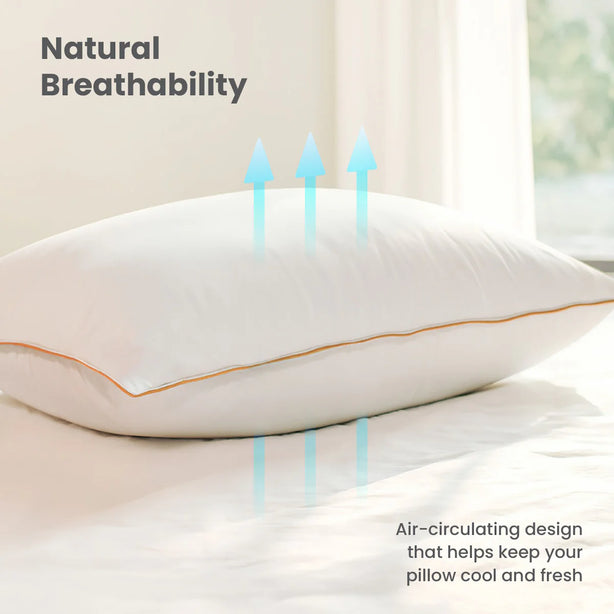 Hallmark Feather Down 3-Chamber Pillow