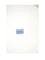 Celine MEDIUM CARD HOLDER - Sky Blue / Red