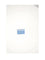 Celine MEDIUM CARD HOLDER - Sky Blue / Red