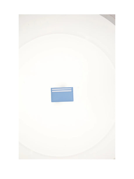 Celine MEDIUM CARD HOLDER - Sky Blue / Red
