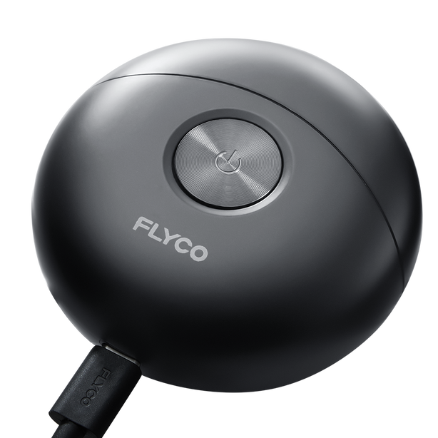 FLYCO Electric Men's Shaver FS891 Black