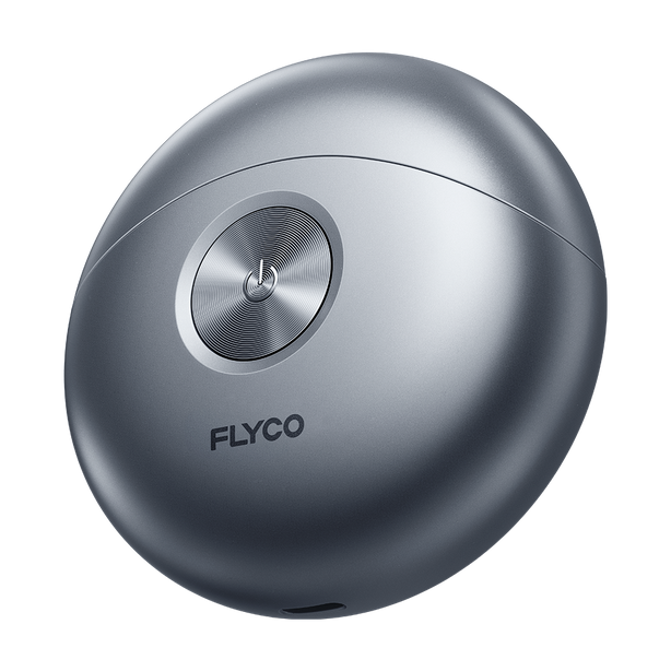 FLYCO Electric Men's Shaver FS891 Silver