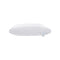 Intero I Cotty / Lofty I Vacuum Packed Luxury I Tencel Pillow I Loft Pillow