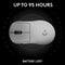 Logitech G Pro X Superlight 2 Dex Gaming Mouse White – Performance Wireless