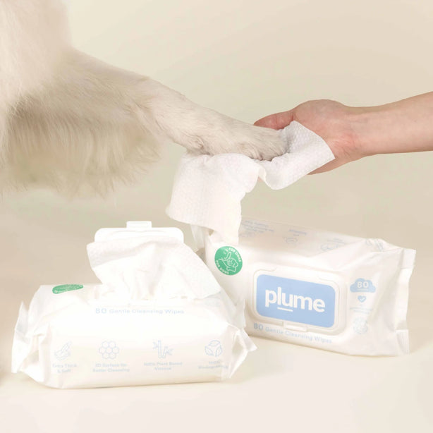 Plume Wet Wipes