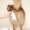 Plume Wet Wipes