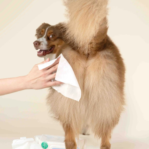 Plume Wet Wipes