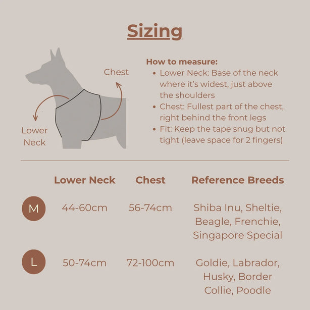 Komu Water-Resistant Y-Harness for Dogs