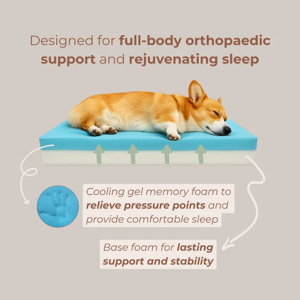 Komu Elysian Orthopaedic & Calming Pet Bed - Small
