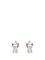 Ferragamo Gancini Earrings With Crystals - Silver