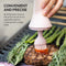 Zuutii Oil Dispenser with Brush