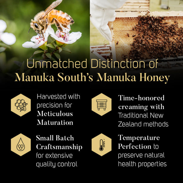 Manuka South Manuka Honey UMF24+ MGO1123 (250g)