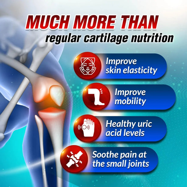 AFC SCP Cartilage Sensei Supreme Joint & Bone Pain & Healthy Uric Acid Level for Gout