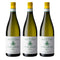 [BUNDLE OF 3] TASCA D'ALMERITA GRILLO CAVALLO DELLE FATE 2025 750ML