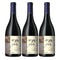 [BUNDLE OF 3] MONTES FOLLY 2021 750ML