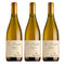 [BUNDLE OF 3] ZENATO LUGANA DOC SAN BENEDETTO 2025 750ML