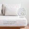 Intero CoolMax Shield Guard Waterproof Mattress & Bolster Protector