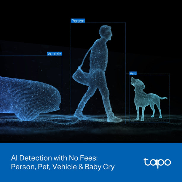 Tapo C246D Indoor/Outdoor Dual Lens Pan/Tilt Security  Camera