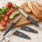 Culinare Stainless Steel 2-Piece Paring Knife Set (1Xnon-Serrated, 1Xserrated) 9cm, Grey