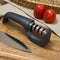 Zyliss Stainless Steel 4-In-1 Knife Sharpener (Scissors And Serrated Blades Sharpening, Honing, Polishing Straight Blades), L20.7xW5xH6.9cm, Gray