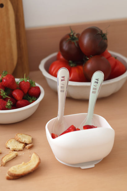 Beaba 2nd Stage Silicone Spoons & Case 2 Pack - Clay/Misty Green