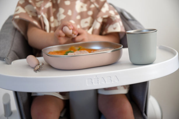 Beaba Stainless Steel Meal Set - Clay