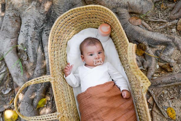 Suavinex Zero Zero Silicone Soother 0-6 Months