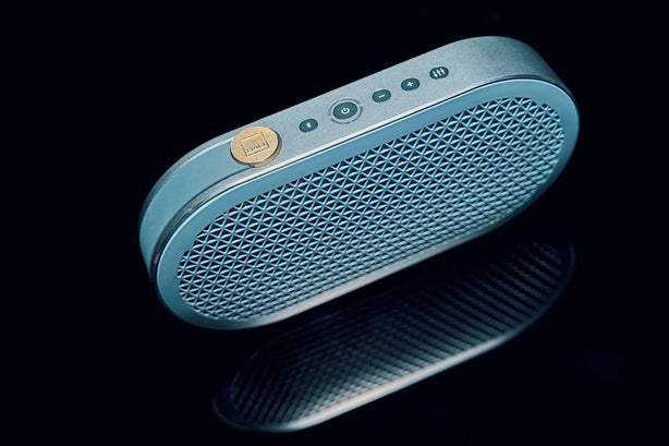 DALI Katch G2 Portable Bluetooth Speaker