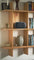 DALI Katch G2 Portable Bluetooth Speaker