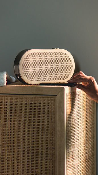 DALI Katch G2 Portable Bluetooth Speaker