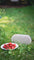 DALI Katch G2 Portable Bluetooth Speaker