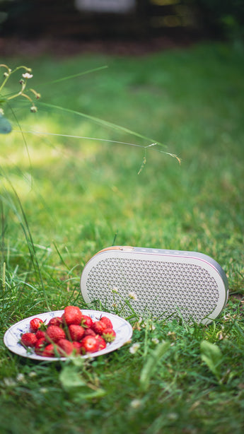 DALI Katch G2 Portable Bluetooth Speaker