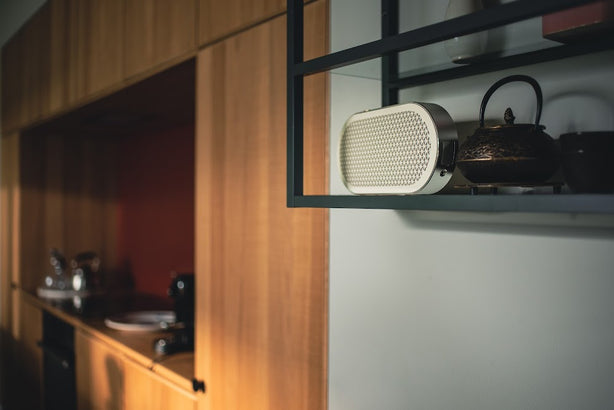 DALI Katch G2 Portable Bluetooth Speaker