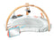 Skip Hop Discoverosity Activity Gym