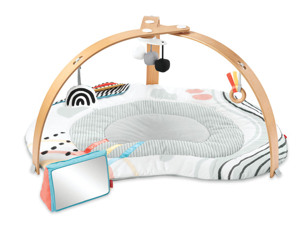 Skip Hop Discoverosity Activity Gym