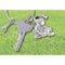 Troika Keyring Pete Dog KR1021MA