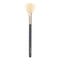 Fan Brush - 1pc