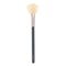 Fan Brush - 1pc