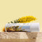 Garden of Wellness  Nourishing Body Oil - Frankincense Fresh